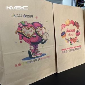 Đầy đủ màu sắc A3 cộng với kích thước in ấn Máy tính để bàn duy nhất vượt qua túi giấy máy in - Product Image 5