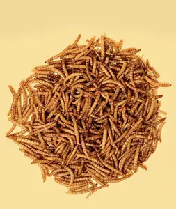 Materiale naturale popolare pet food essiccato vermi della farina proteine in polvere