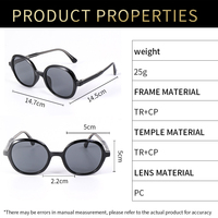 Lunettes de soleil tendance 2026 de haute qualité, personnalisables, colorées, monture TR+CP, pour femmes et hommes, verres ronds mixtes UV400 TR90
