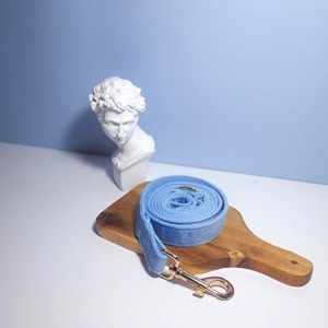 Sky Blue Personalized Leather Handmade Thick Boy Puppy and Leash Wedding Dog Collar <b>Gold</b> Custom Engraved Nameplate - Product Image 3