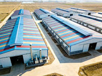 Bâtiment moderne pour élevage de bovins et de volailles en structure acier préfabriquée avec système d'élevage automatisé