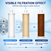 Kartrid Filter Ultrafiltrasi Murni Pengganti 0.01 Mikron Hollow Inline Pre Filter Cartridge untuk Sistem Pemurnian Air
