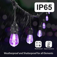 Guirlandes lumineuses d'extérieur RGBW de 48 pieds, résistantes aux intempéries, télécommande, changement de couleur, guirlandes lumineuses de café avec ampoules S14 incassables