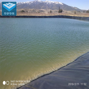 Chino 0.5mm0.75mm1.0mm hdpe construir <span class=keywords><strong>piscina</strong></span> Geomembrana de hoja de <span class=keywords><strong>precio</strong></span> por metro cuadrado - Product Image 4