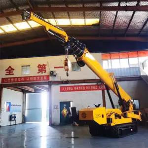 China Self-propelled Mini Crawler Crane 10 12 15 Ton Spider Lift Crane Telescopic Boom Spider Crane 3 Ton