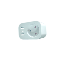 Wellsdiy Meilleure vente Prise intelligente Wi-Fi TUYA avec prise allemande EU, télécommande, 2 ports USB et 1 port Type C
