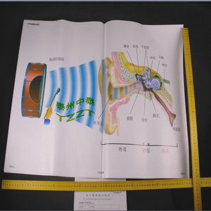 Tableaux muraux pédagogiques son et lumière (9 tableaux) J51007 pour l'enseignement de la physique au collège et au lycée - Product Image 1
