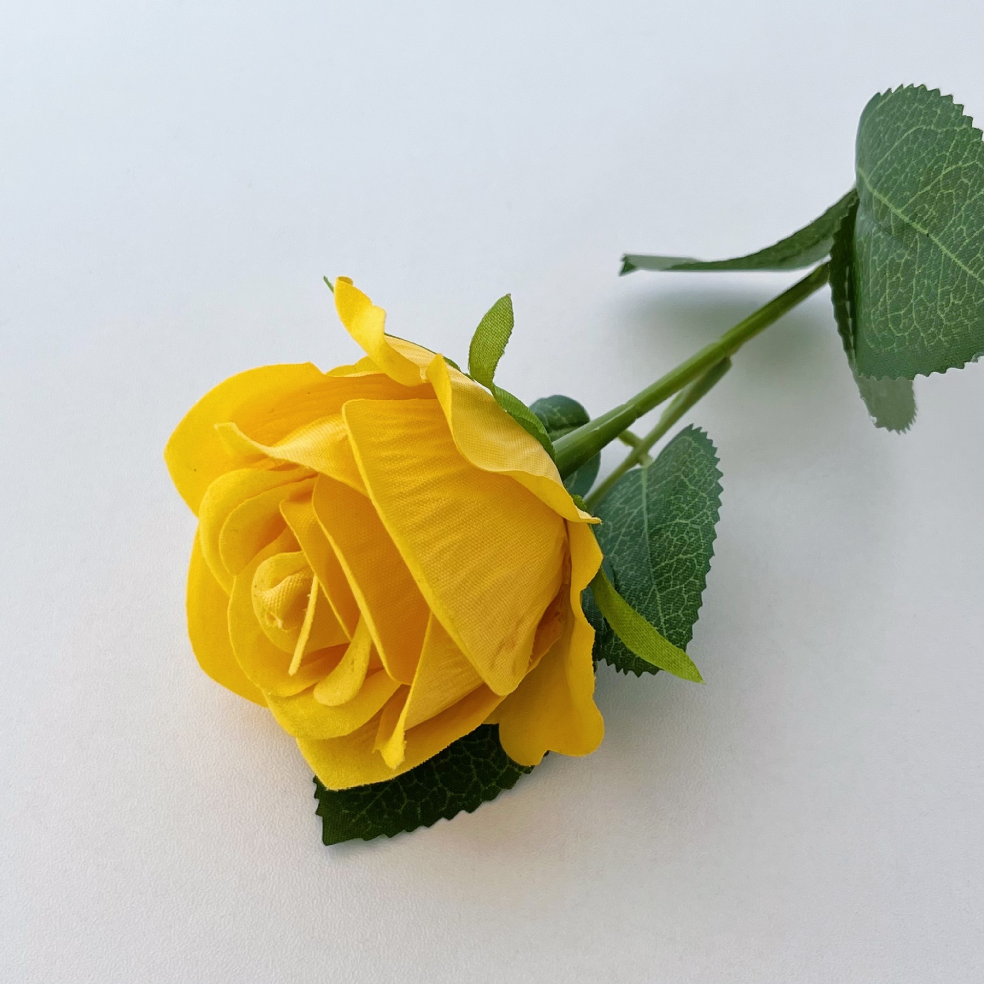 Velvet rose-yellow