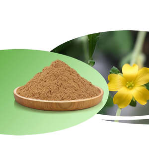 ผงสกัดใบดาเมียนา ราคาขายส่ง สารสกัดดาเมียนาธรรมชาติ - Product Image 2