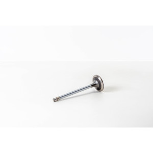 Valvola di aspirazione adatta per motori IVECO 61320865 - Product Image 3