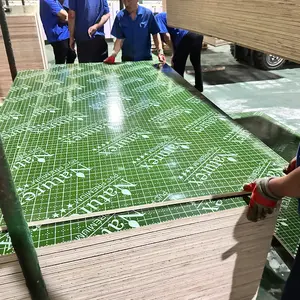 Good Quality 20mm 21mm Green Pp Plastic Laminated Plywood Sheets Plastic Coated Plywood For Concrete Form Work