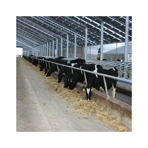 Abri pour bétail en acier préfabriqué, assemblage rapide, <span class=keywords><strong>grange</strong></span> pour bétail de viande et laitier - Product Image 1