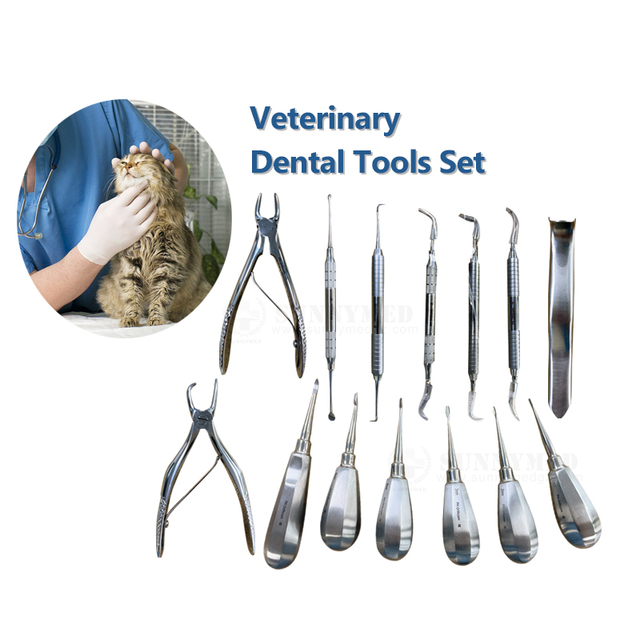 SY-W064 Veterinary Dental Instruments Examination Tools Set of Animal Mouth Health Care Equipment