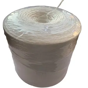 Warna Putih 10Kg Roll Polypropylene Twine untuk Bundel Tebu Daun Bale