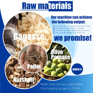 Richi Hot Bán 8-10t/h Olive bưởi PELLET máy - Product Image 2