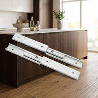 Glissières de tiroir de cuisine et salle à manger modernes, silencieuses, à double couche, à extension complète, avec interstice de 500 mm, en alliage d'aluminium de 20 mm, 100% prêtes à l'emploi