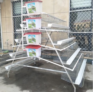 Nuevo diseño Poultry Chicken Farm batería jaulas <span class=keywords><strong>de</strong></span> pollo para asar con regulador <span class=keywords><strong>de</strong></span> presión <span class=keywords><strong>de</strong></span> <span class=keywords><strong>agua</strong></span> para la granja <span class=keywords><strong>de</strong></span> Pakistán - Product Image 4