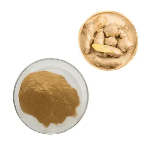 Wholesale 20:1 Kaempferia Parviflora Extract Ginger Extract Powder Black Ginger Root Extract