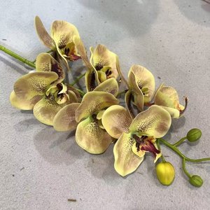 Orchidée Artificielle en Soie à Prix Bas, Vente en Gros, Effet Réel, pour Décoration de Mariage et d'Intérieur - Product Image 5