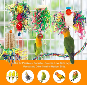 3 paket papağan kafes kuş kabağı asılı oyuncak afrika gri papağan kuş çiğneme oyuncaklar için Foraging parçalayıcı oyuncak - Product Image 6