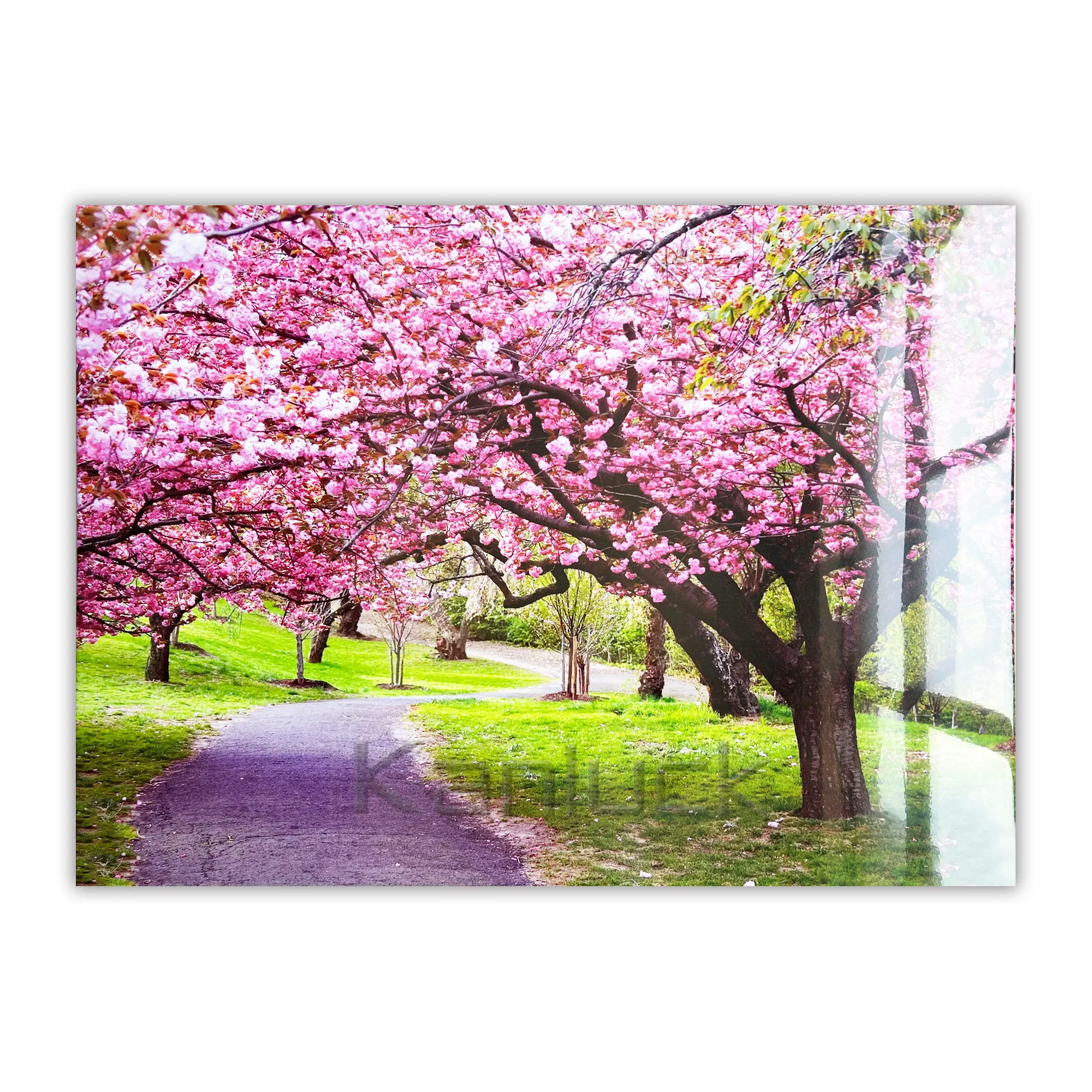 Red Marple Trees Scenery Wall Art Canvas Painting With Lacquer
