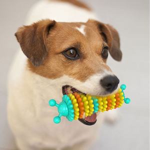 Caterpillar diş temizleme tasarım TPR çiğnemek köpek oyuncak Pet gıcırtı oyuncak - Product Image 5