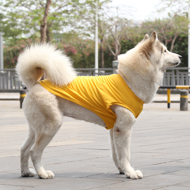 Gilet uni en coton jaune