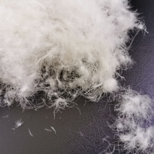 Matériel <span class=keywords><strong>duvet</strong></span> de <span class=keywords><strong>canard</strong></span> lavé 90% <span class=keywords><strong>duvet</strong></span> de <span class=keywords><strong>canard</strong></span> du Canada Fournisseur de couettes - Product Image 6