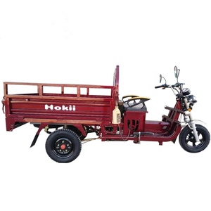 Nuevo 3 Ruedas Barato <span class=keywords><strong>125cc</strong></span> Trike Motocicleta 3 Ruedas Gasolina Motocicleta 3 Ruedas Motocicleta Adultos Triciclo - Product Image 5