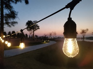 Cadena <span class=keywords><strong>de</strong></span> Luces LED E27 S14 A60 <span class=keywords><strong>de</strong></span> 48 pies (20 m/100 m), Resistente al Agua, Decorativa para Exteriores, Ideal para Fiestas, Campamentos y Patios - Product Image 1