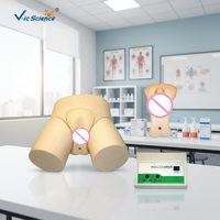 Modèle de formation en soins infirmiers : Mannequin électronique pour l'enseignement et la pratique du cathéter, de l'irrigation et du modèle de col de l'utérus prénatal