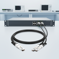 Cable DAC de Conexión Directa de Cobre YTOPTO 200G QSFP56 2x100G QSFP28 Compatible con Mellanox HDR y Cisco/TP-Link/Mikrotic, CE