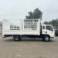 Camion léger 15T LHD RHD à transmission manuelle 4x2 Howo 10 tonnes à vendre