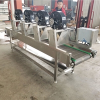 Fabrieks prijs volautomatische bananenpoeder productielijn, plantainpoeder molen en mixer