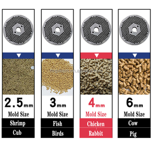 Machine <span class=keywords><strong>à</strong></span> fabriquer des granulés d'aliments pour volailles, poulets, vaches et animaux avec <span class=keywords><strong>presse</strong></span> <span class=keywords><strong>à</strong></span> <span class=keywords><strong>piston</strong></span> et moteur pour une utilisation domestique - Product Image 6