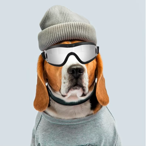 Lunettes de soleil écologiques pour <span class=keywords><strong>chien</strong></span> avec sangle réglable, protection UV, anti-poussière/anti-vent, motif à pois, en polycarbonate, pour l'hiver - Product Image 2
