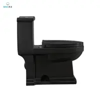 नई डिजाइन दोहरी फ्लश मैट काले रंग Siphonic एक टुकड़ा शौचालय WC सिरेमिक कमोड बाथरूम काले शौचालय