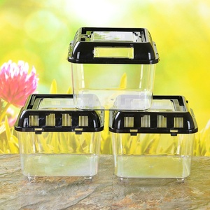 Cage en plastique PP transparent pour reptiles, boîte d'élevage ventilée pour gecko, <span class=keywords><strong>araignée</strong></span>, insecte, <span class=keywords><strong>terrarium</strong></span> - Product Image 4