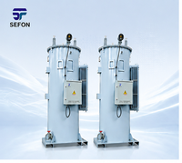 Régulateur de tension automatique monophasé industriel