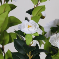 Camélia en plastique, plante artificielle en pot, pour l'intérieur et l'extérieur, pour la décoration de bureau, de jardin, de maison, faux arbres, plantes artificielles