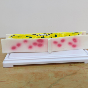 Mô hình tế bào thực vật cấu trúc hình Thái cấu trúc tế bào màng tế bào mô hình giảng dạy mô hình y sinh học - Product Image 2