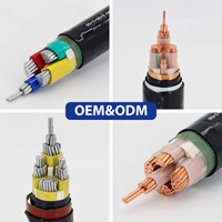 Cable Eléctrico Zr-Yjv Zr-VV Zr-Yjv22 0.6/1kv Rvv 16mm 3/0 AWG 12 8 7 6 250 500 Mcm