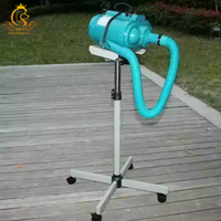Sèche-cheveux pour chiens de haute qualité en matière plastique avec source d'alimentation de charge pour les soins des animaux domestiques Excellent produit de toilettage EUR PET