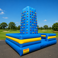 Mur d'escalade gonflable géant de 6m*6m pour défi de carnaval, jeu d'escalade avec design portable pour utilisation en extérieur lors de fêtes