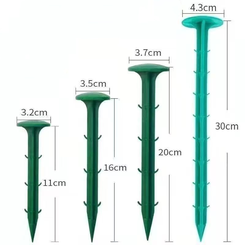 vert