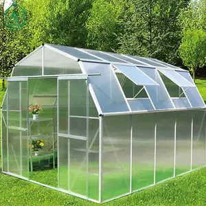 Isolasi luar ruang lembar PC sayuran, jalan luar ruangan di rumah kaca taman untuk pertumbuhan tanaman