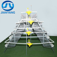 Système de cages automatiques de type A galvanisées à chaud pour l'élevage de poules pondeuses dans les projets d'élevage avicole