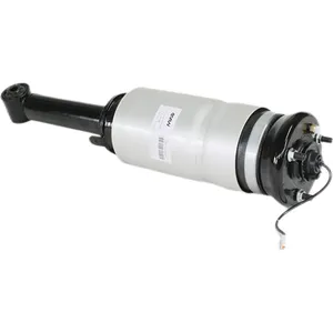Амортизатор пневматической подвески с рекламой LR019993 для Range Rover Discovery 4 Sport LR018190