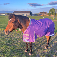 Nouvelle arrivée : couverture d'hiver pour cheval, respirante, avec col en fourrure, imperméable, en polyester.