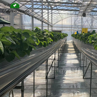 GT film plastique couvert serre extérieure agriculture commerciale cadre métallique agriculture serre